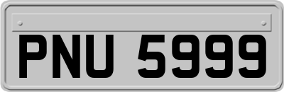 PNU5999