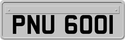 PNU6001