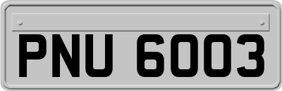 PNU6003