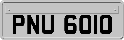 PNU6010