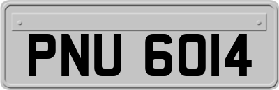 PNU6014