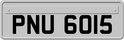 PNU6015