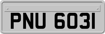 PNU6031