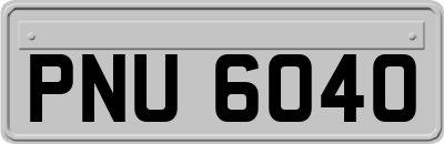 PNU6040