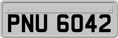 PNU6042