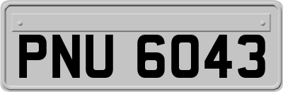 PNU6043
