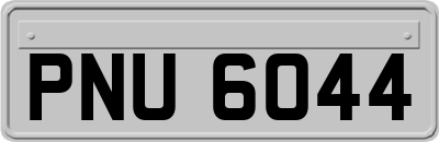 PNU6044
