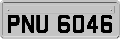 PNU6046