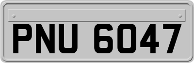 PNU6047