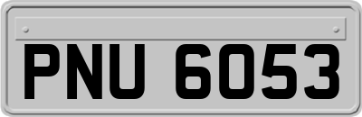 PNU6053