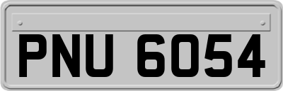 PNU6054