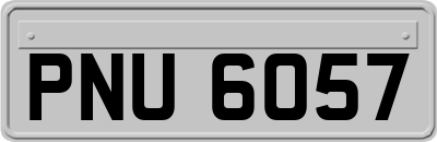 PNU6057