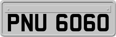 PNU6060