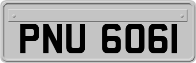 PNU6061