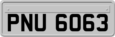 PNU6063