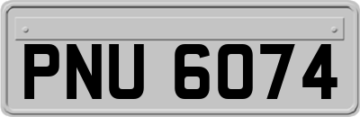 PNU6074