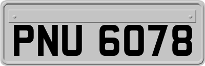 PNU6078