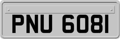 PNU6081