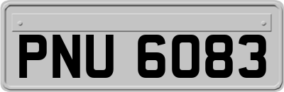 PNU6083
