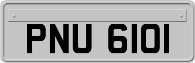 PNU6101