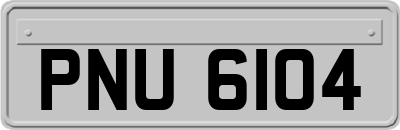 PNU6104