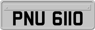 PNU6110
