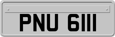 PNU6111