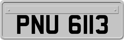 PNU6113