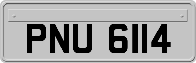 PNU6114