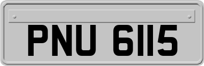 PNU6115