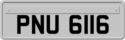 PNU6116