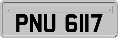 PNU6117
