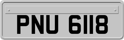 PNU6118