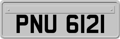 PNU6121