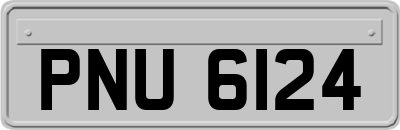 PNU6124