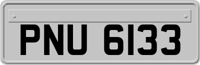 PNU6133