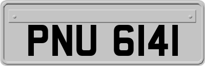 PNU6141