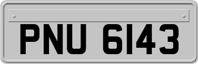 PNU6143