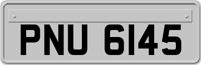 PNU6145