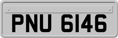 PNU6146