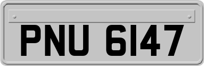 PNU6147