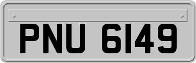 PNU6149