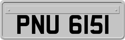 PNU6151