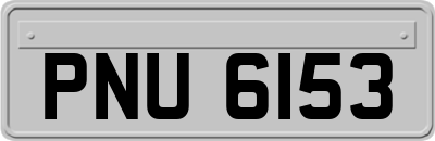 PNU6153