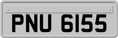 PNU6155