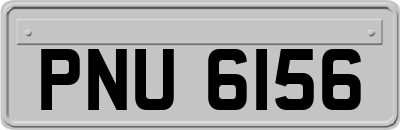 PNU6156