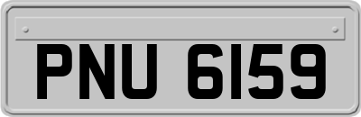 PNU6159