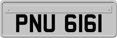 PNU6161