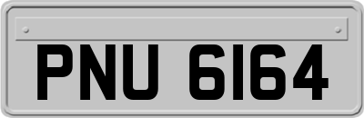 PNU6164