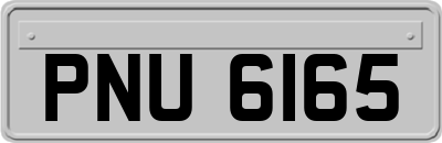 PNU6165
